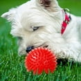 thumbnail image 3 of Pet Squeaky Balls Bite-resistant Chew Toys Balls Interactive Training Pet Toys For Small Medium Dogs, 3 of 9