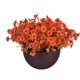 thumbnail image 4 of Flores artificiales, flores falsas, flores artificiales, juego de regalo para mujeres, flores artificiales de plástico, plantas artificiales, plantas violetas, decoración para el hogar y el exterior,, 4 of 9