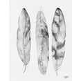thumbnail image 2 of James, Nola 12x14 White Modern Wood Framed Museum Art Print Titled - Three Feathers Black and White, 2 of 4