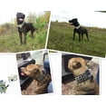 thumbnail image 2 of Collares para perros de cuero genuino de lujo de 2 "de ancho con tachuelas para perros medianos y grandes, cuello negro XL de 21-24", 2 of 2
