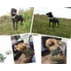 thumbnail image 2 of Collares para perros de cuero genuino de lujo de 2 "de ancho con tachuelas para perros medianos y grandes, cuello negro XL de 21-24", 2 of 2