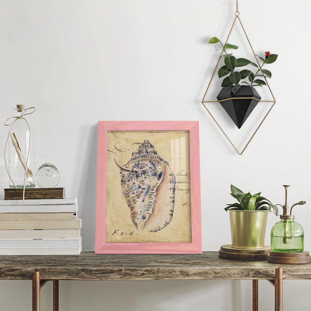 Seashell Ephemera I - Framed Print w/glass - Sunset Pink