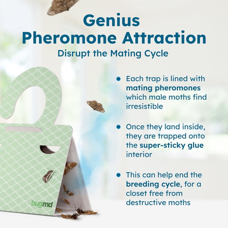 BUGMD Clothes Moth Traps (3 Pack, 18 Traps) - Pheromone Attractor