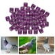 thumbnail image 4 of 100Pieces 2022 Aluminio Bird Racing Pigeon Pierna Anillos Bandas 8 mm para Púrpura jinwen Bandas para piernas de paloma, 4 of 8