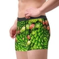 thumbnail image 5 of Cauagu Cactus And Succulents Print Boxer Briefs for Men,Comfortable Breathable Men's Underwear Moisture Wicking Underpants -XX-Large, 5 of 8