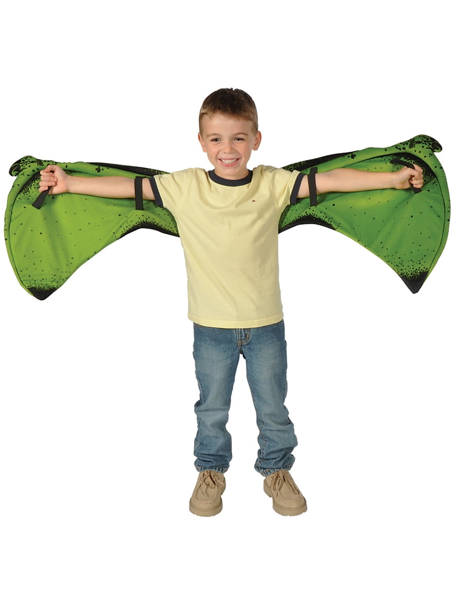 Photo 1 of Child Costume Accessory Dinosaur Pteranodon Wings