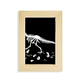 thumbnail image 1 of Hueso de dinosaurio Bones Medium Escritorio de madera Arte Pintura 5x7 pies Marco de foto, 1 of 4