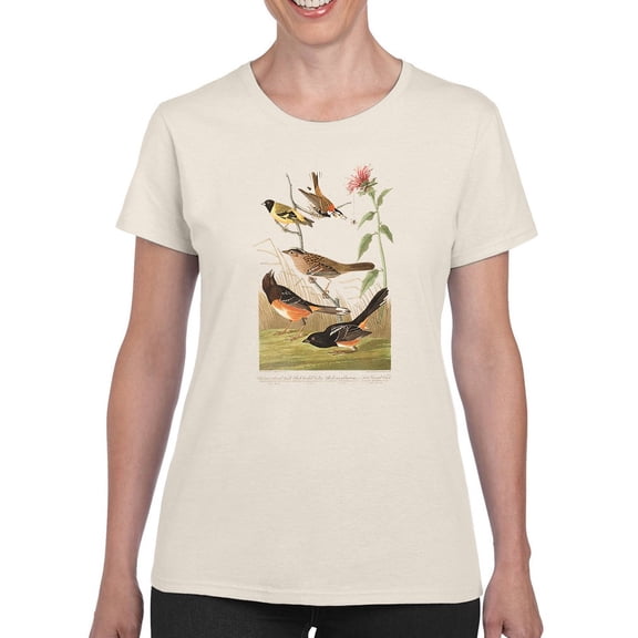 Chestnut Coloured Finches T-Shirt Women -John James Audubon Designs, Female Medium