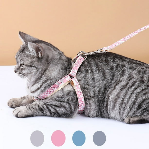 Printable Cat Harness Pattern sites.unimi.it