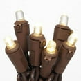 thumbnail image 3 of Mainstays 100-count Warm White LED Dome String Lights - Brown Wire, 3 of 6