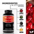 thumbnail image 3 of Berberina HCL Shilajit ALA 120 Cápsulas lNatural Health BMO-G, 3 of 8