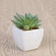thumbnail image 5 of Cubo de plantas suculentas artificiales verdes en macetas modernas Mini maceta falsa para decoración interior y exterior (loto riendo), 5 of 5