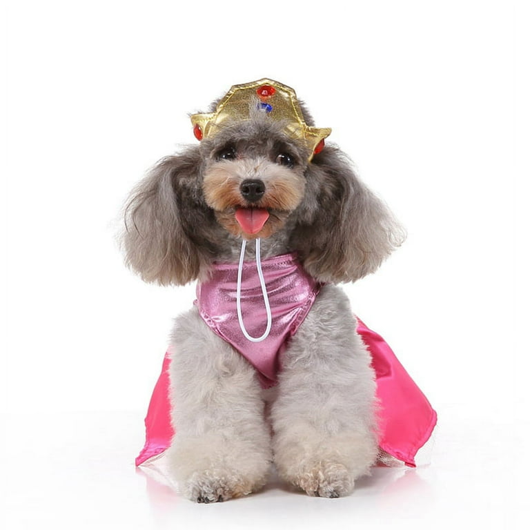 Princess dog shop outfit