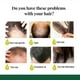 thumbnail image 5 of Ginger Hair Growth Spray Strong Hair Massage Scalp Dense Hair Solid Hair Anti-fall Repair Nourishing Liquid 50ml, 5 of 5