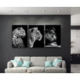 thumbnail image 2 of Set de 3 Cuadros Decorativos Modernos Felinos Ideas Creativas Cuadro sublimado en tela 40 cm x 60 cm, 2 of 2