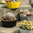 thumbnail image 4 of 1 Set Flower Pot Solid Construction Large Capacity Resin Indoor Succulents Large Diameter Flower Pot for Home, 4 of 10