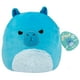 thumbnail image 1 of Peluche Squishmallows Kenji The Blue Capybara 25 cm, 1 of 6