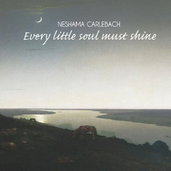 Neshama Carlebach - Every Little Soul Must Shine - Music & Performance - CD