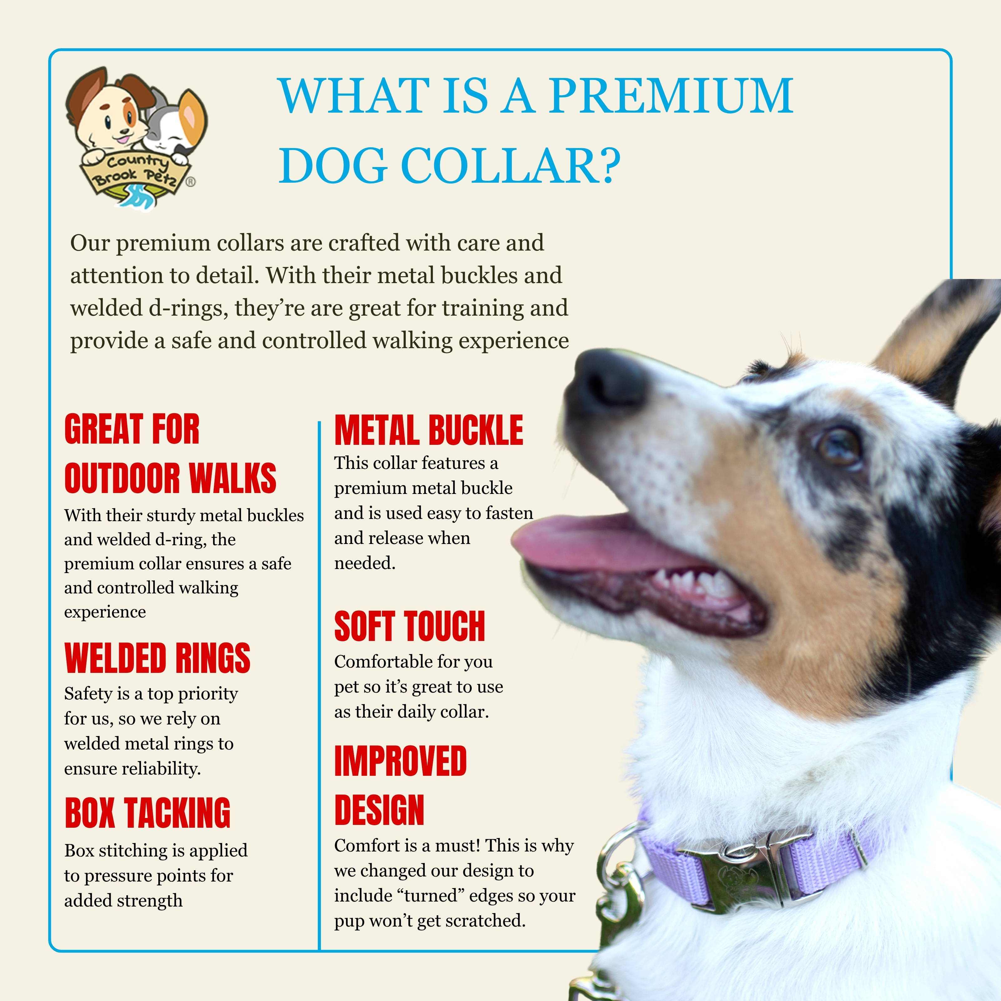 Country Brook Petz® Premium Nylon Dog Collar with Metal Buckle for Small Medium Large Breeds (Extra Large, 1 Inch, Light Cyan)