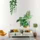 thumbnail image 2 of Injueey Pegatinas de pared de plantas verdes, papel tapiz de PVC, calcomanías autoadhesivas frescas, Mural de arte, telón de fondo, pegatina DIY para Decoración del hogar Injueey HA077479-00, 2 of 6