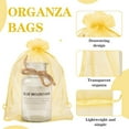 thumbnail image 3 of YunKo 50pcs Organza Bags 6x9 Inches Drawstring Jewelry Gift Mesh Bags Fruit Protection Bag White Sheer Organza Wedding Favor Bag, 3 of 10