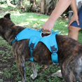 Voyager Padded & Breathable Control Dog Walking Harness for Big/Active
