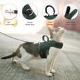 thumbnail image 3 of Juego de arnés y correa para gatos YIZHI MIAOW, verde liso, XXL, 3 of 8