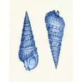 thumbnail image 2 of Fab Funky 26x32 White Modern Wood Framed Museum Art Print Titled - 2 Blue Shells a, 2 of 4
