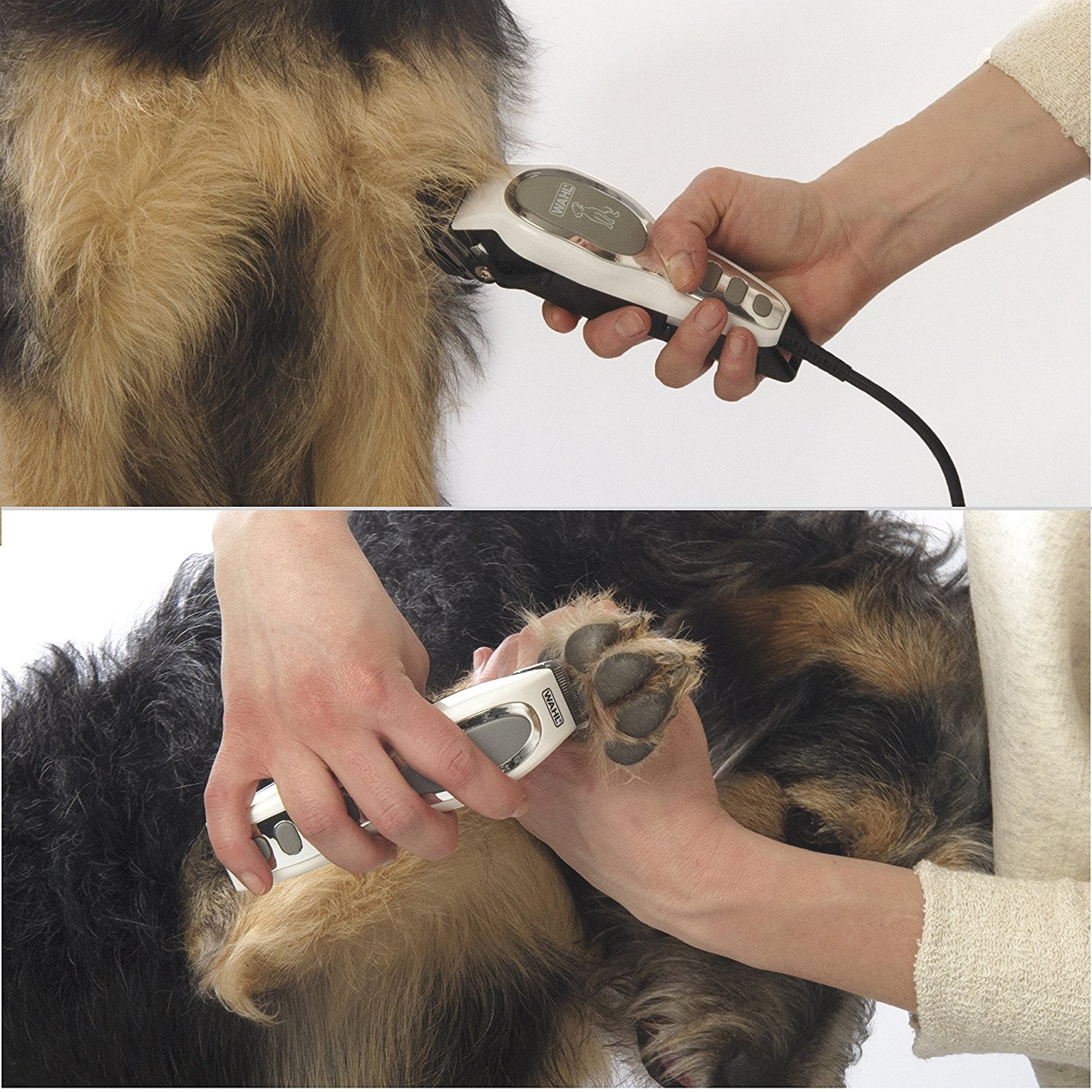 wahl pet pro combo kit