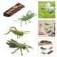 thumbnail image 5 of Naturaleza Saltamontes / Caracol Insectos Crecimiento Ciclo de vida Fifurine Modelo Enseñanza Estilo 1, 5 of 9