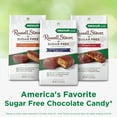 thumbnail image 7 of RUSSELL STOVER Sugar Free Peanut, Caramel & Nougat Chocolate Candy, 4.7 oz, 7 of 7