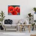 thumbnail image 2 of Bold Red Poppy Flower Trio Botanical & Floral Painting Gallery Wrapped Canvas Print Wall Art, 2 of 7