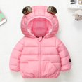 thumbnail image 2 of 1-6Y Toddler Boys Girls Winter Warm Hooded Puffer Coat Jacket Kids Casual Zipper Thickened Snow Clothes Overcoat Outerwear With Pockets, 2 of 8