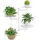 thumbnail image 1 of Estantes giratorios para plantas de ventana, soporte de pared para plantas de interior de 3 niveles, estante de metal floral con ganchos colgantes, 1 of 6