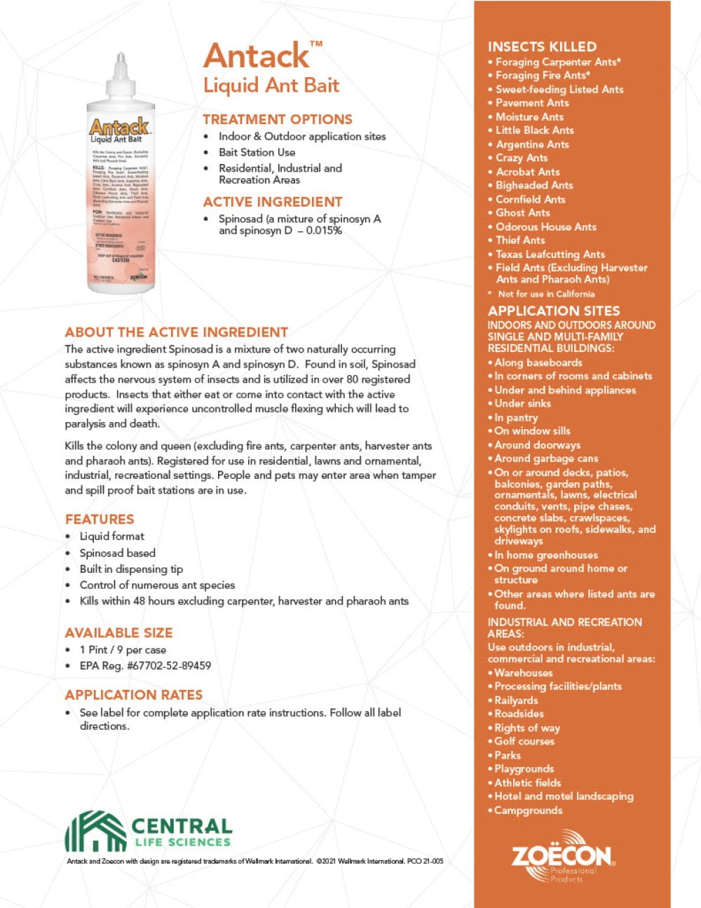 Antack Liquid Ant Bait - Control of Numerous Ant Species - 16 fl oz Bottle by Zoecon