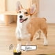 thumbnail image 4 of 6 Botones de Comunicación para Perros, Botón de Grabación de Voz para Entrenamiento de Mascotas, Timbre, Grabación, Reproducción, Regalo Divertido, Sin Batería., 4 of 5