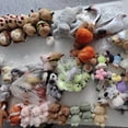 thumbnail image 4 of Jellycat plyschdjur serie capybara plyschdocka docka plyschleksak grossist, 4 of 5