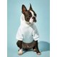 thumbnail image 4 of PETSIN Letter Graphic Pet Hoodie, 4 of 5