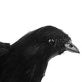 thumbnail image 3 of Cuervos de Halloween Aves Falsas Decoración de Jardín - 3pcs, 3 of 9