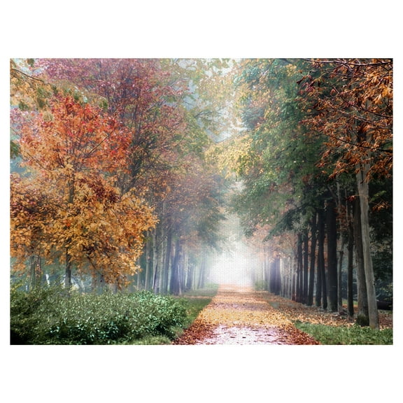 Masterpiece Art Gallery Breathe Autumn Forest Trail by Irene Weisz Canvas Photo Art Print 30" x 40"