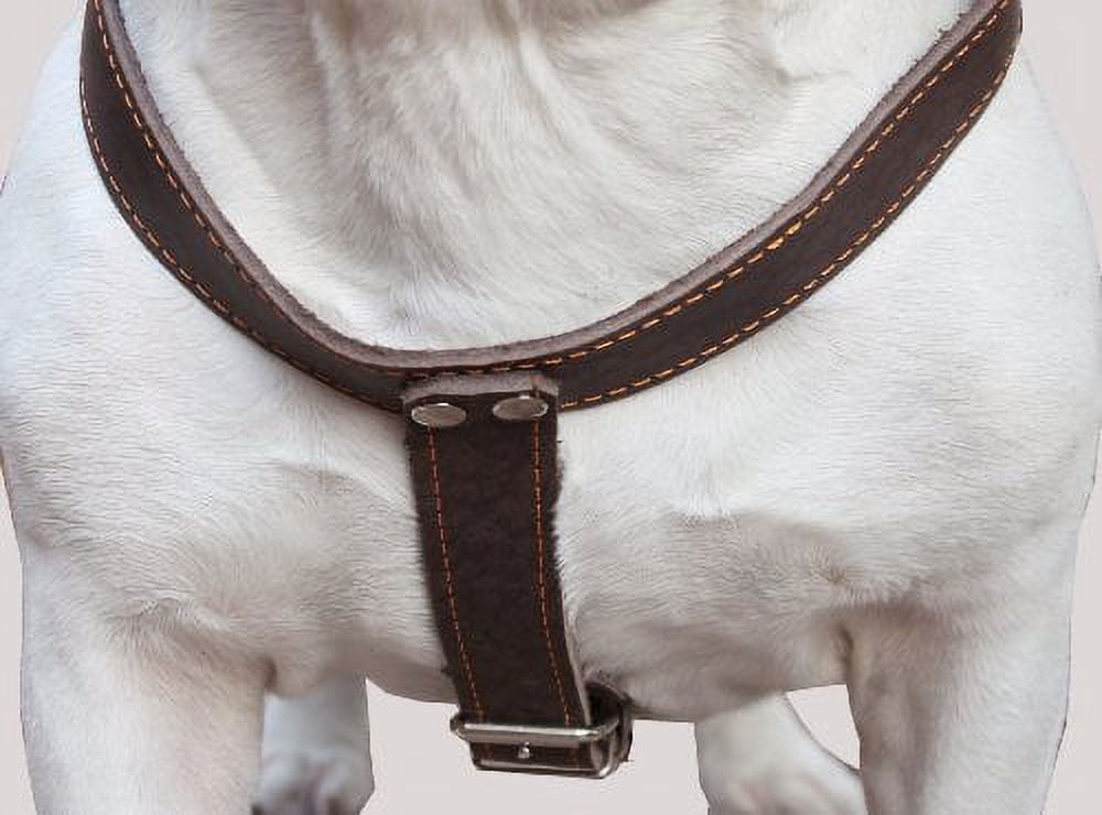Brown Genuine Leather Dog Harness, Large. 35"-40" Chest, 1.5"Wide Straps Mastiff Great Dane