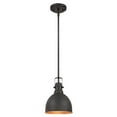 thumbnail image 1 of Goodbulb 6345600 | 1 Light Mini Pendant Industrial Hammered Oil Rubbed Bronze Finish W/ Highlights Directs Light Downward - 1 Pack, 1 of 1