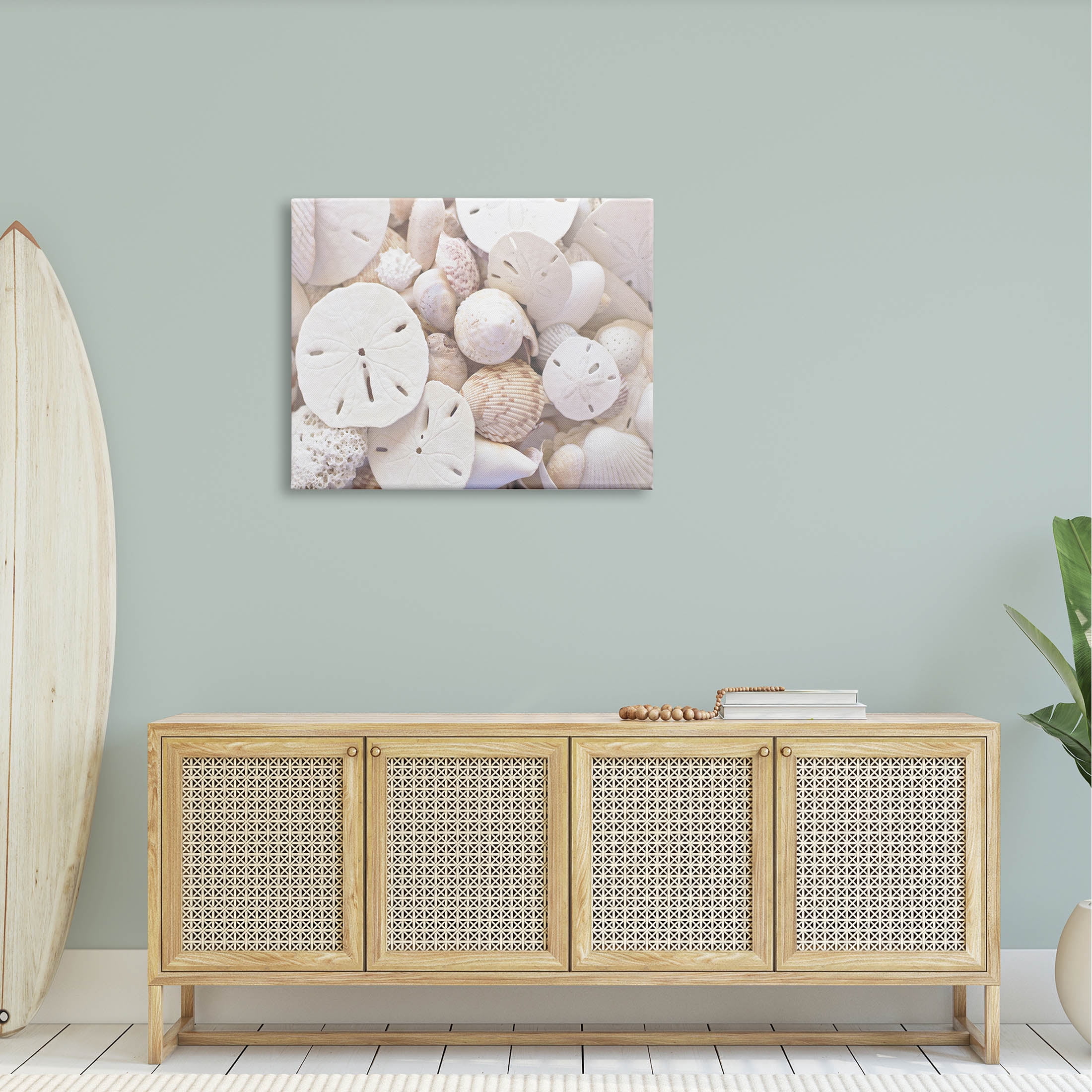 White Mixed Sand Dollar Shells Coastal Photograph Gallery Wrapped Canvas Print Wall Art