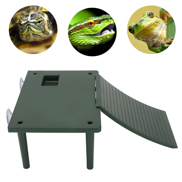 Tortoise Resting Terrace, Exercise Climbing Ability ABS Feeding Bowl Basking Platform For Low Water For Frogs For Snake