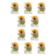 thumbnail image 3 of Yuarrent Hojas secas naturales DIY Plantas artesanales en relieve Hojas prensadas Decoraciones verdes secas Regalos para tarjetas de boda Type1 NO1, 3 of 6