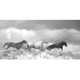 thumbnail image 2 of Murdock, Ramona 18x11 Black Ornate Wood Framed with Double Matting Museum Art Print Titled - Mustang Herd II BW, 2 of 4