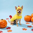 thumbnail image 2 of Vibrant Life Halloween Chicken Costume for Dogs and Cats, Yellow and Red, S, 2 of 6