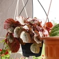 thumbnail image 6 of NIAIZEK 5-Pack Plastic Hanging Flower Pots with Drainage Holes for Orchids, Balcony, Garden, Indoor Plant Containers 17.72x6.3x6.3in, 6 of 6