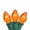Orange, variant on Northlight C7 Christmas String Lights - Clear - 24' Green Wire - 25ct
