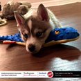 thumbnail image 2 of Ethical Dog 690469 24 in. Plush Nubbins Lizard, 2 of 2